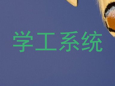 学工系统