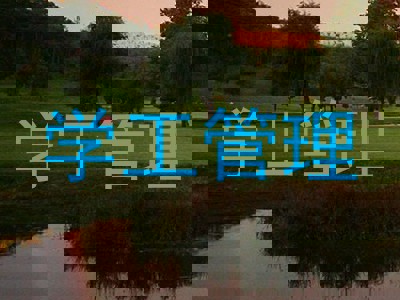 学工管理
