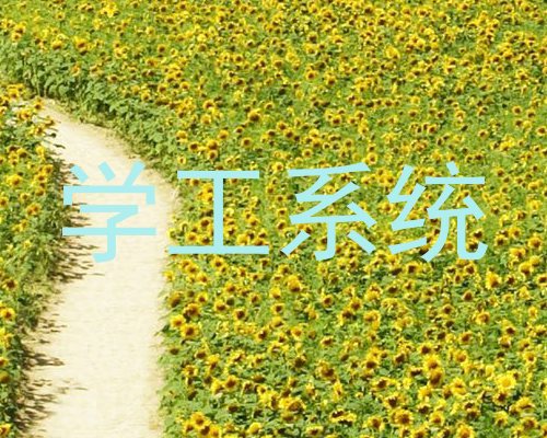 学工系统