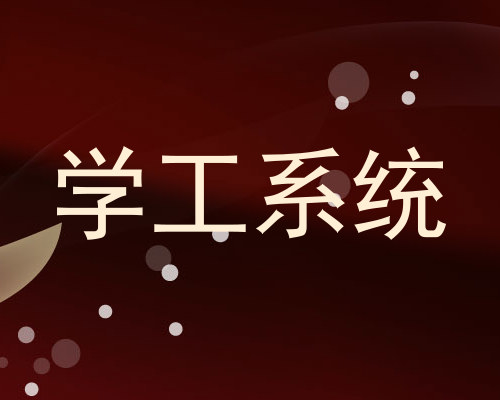 学工系统