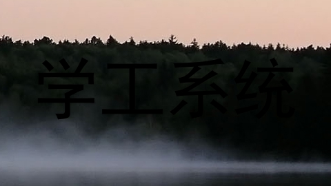 学工系统
