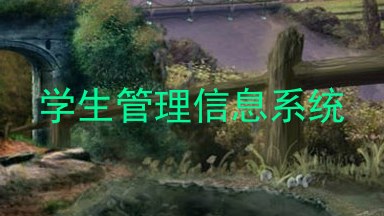 学生管理信息系统