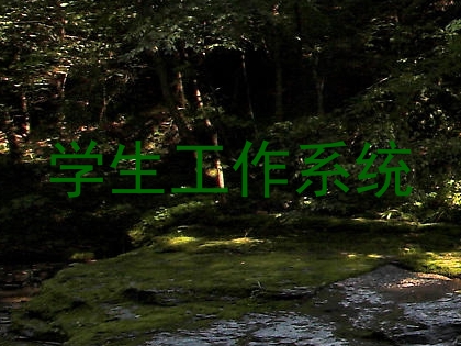 学生工作系统