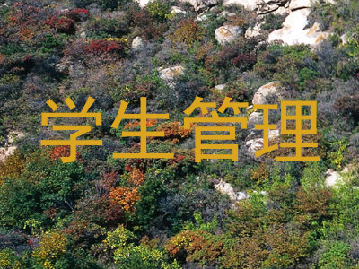 学生管理