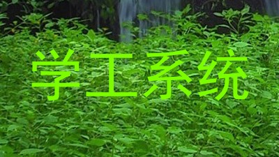 学工系统