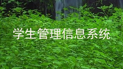 学生管理信息系统