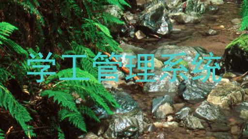 学工管理系统