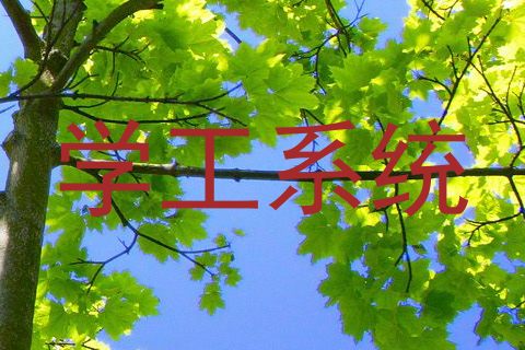 学工系统