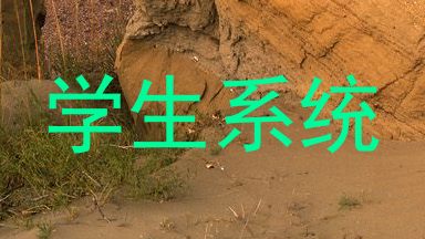 学生系统