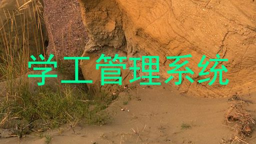 学工管理系统