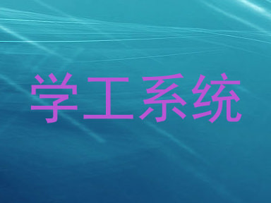 学工系统