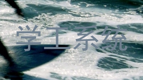 学工系统