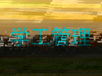 学工管理