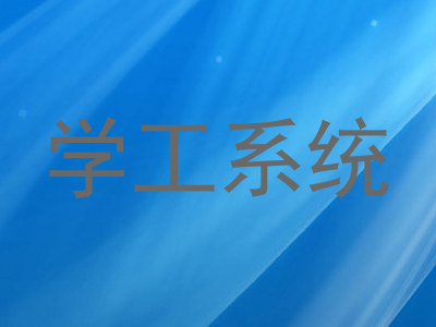 学工系统