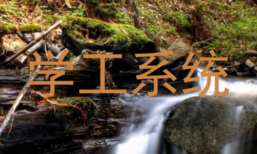 学工系统