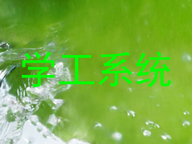 学工系统