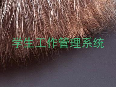 学生工作管理系统