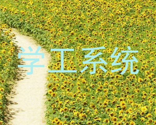学工系统