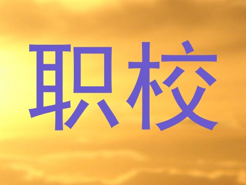 职校