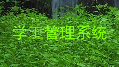 学工管理系统