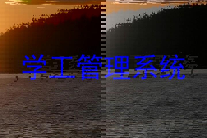 学工管理系统