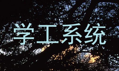 学工系统