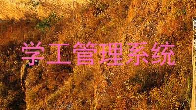 学工管理系统