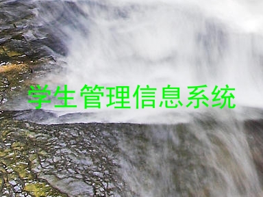 学生管理信息系统