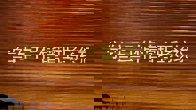 学生工作管理系统