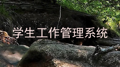 学生工作管理系统