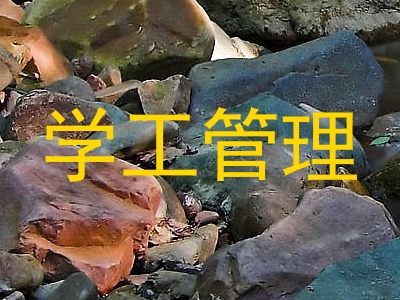 学工管理