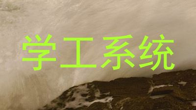 学工系统