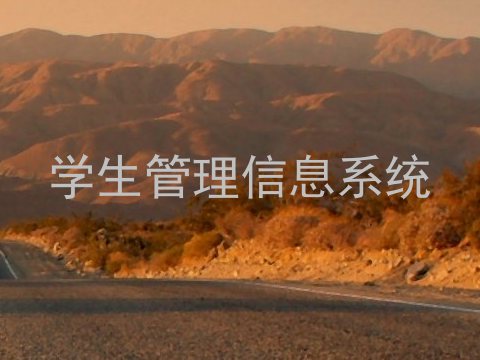 学生管理信息系统
