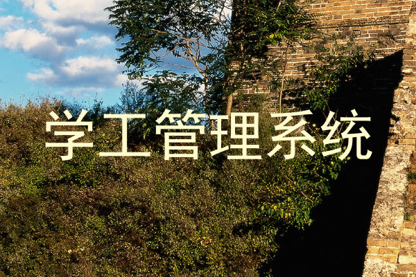 学工管理系统