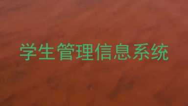 学生管理信息系统