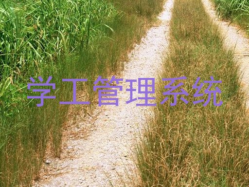 学工管理系统