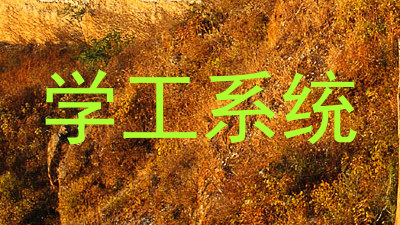 学工系统