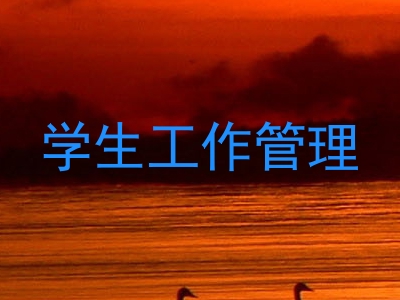 学生工作管理