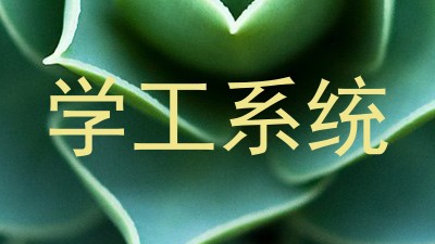 学工系统