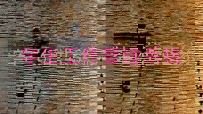 学生工作管理系统