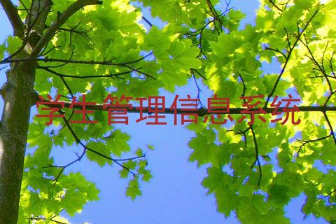 学生管理信息系统