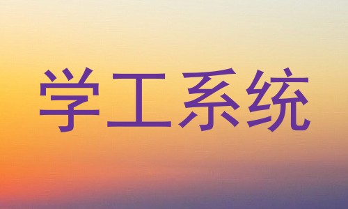 学工系统