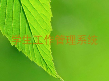 学生工作管理系统