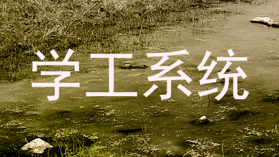 学工系统
