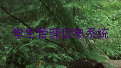 学生管理信息系统
