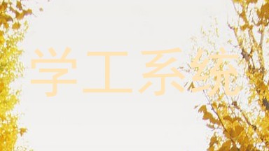 学工系统