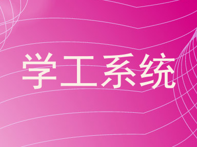 学工系统