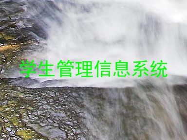 学生管理信息系统