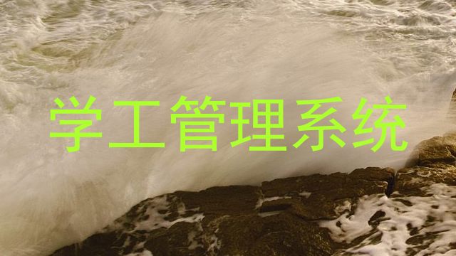 学工管理系统