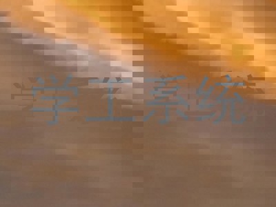 学工系统